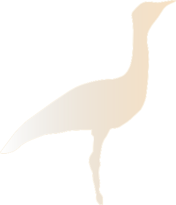 Choriotis logo
